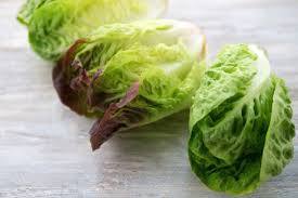 INSALATA ROMANA