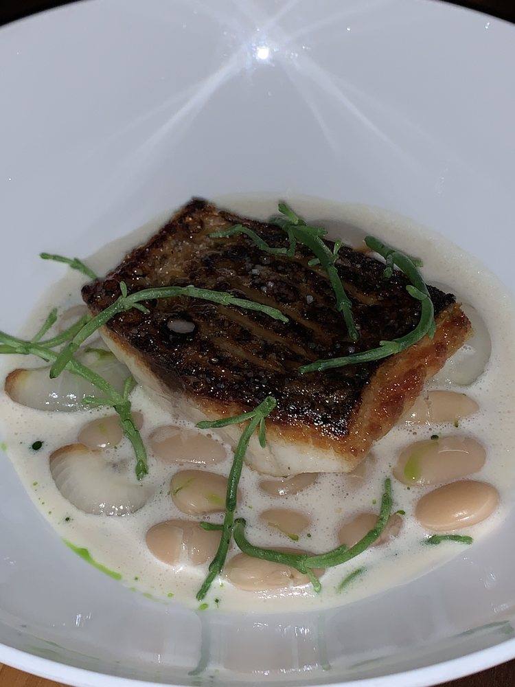 Striped Bass