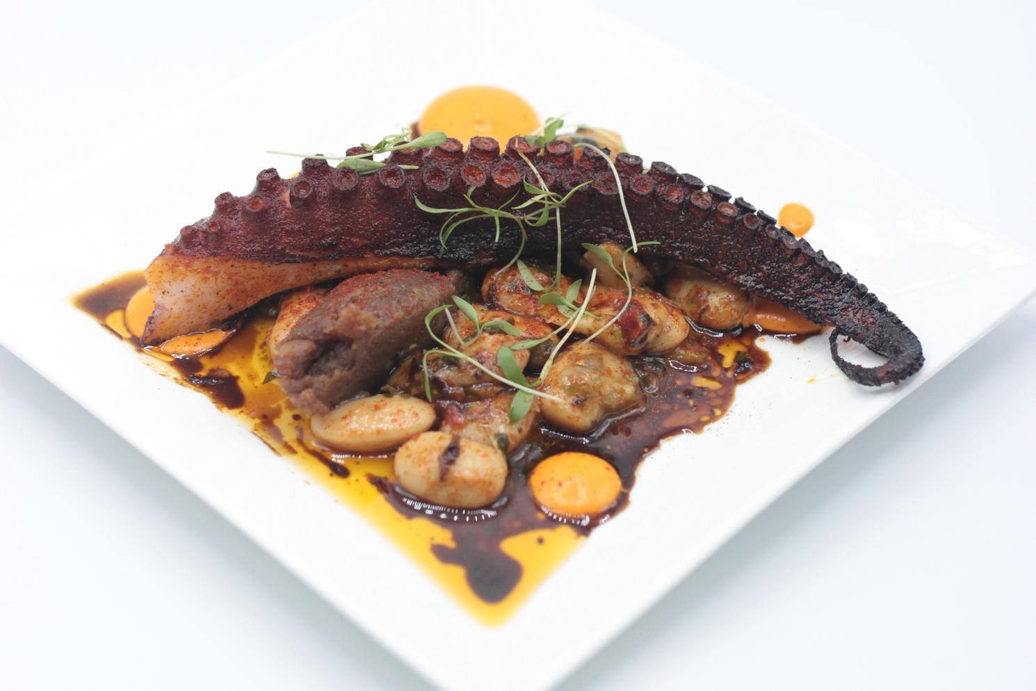 Grilled Octopus