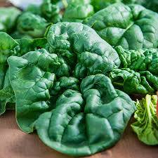 BLOOMSDALE SPINACH